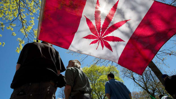Pot Stocks Get Routed on the Same Day Cannabis Is Legalized in Canada