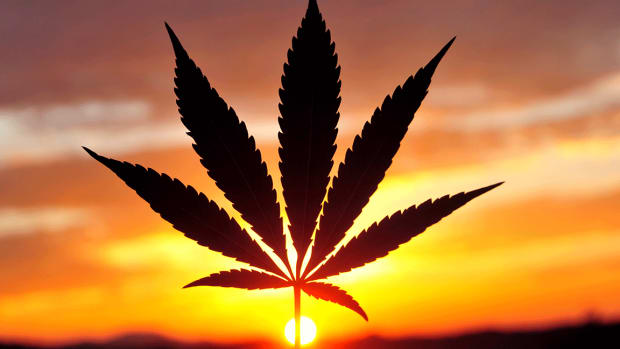 Tilray Is Smokin' as Companies Circle Cannabis Stocks