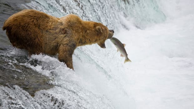 A 2019 Bear Market and Subsequent Lost Decade in Stocks Lurks on the Horizon
