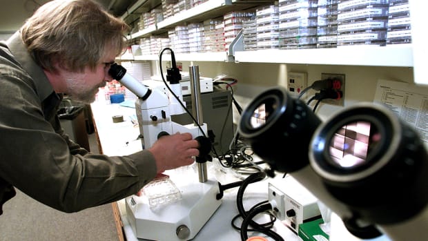 Best Biotech Stock Trades and Mergers to Watch in 2018