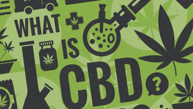 What is CBD? Effects, Benefits and Legality