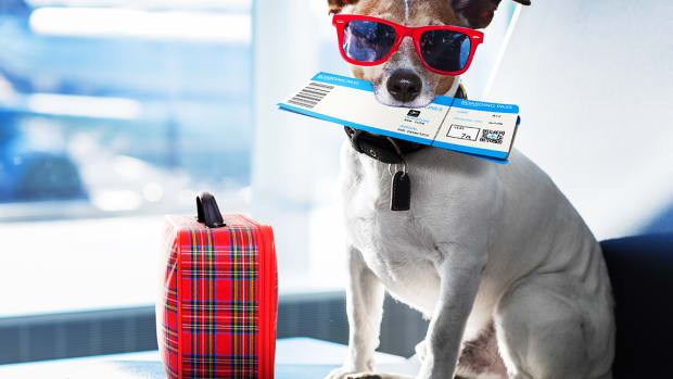 Time to Book Your Holiday Travel