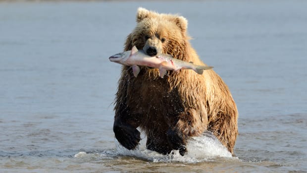 How You Can Tell Stocks Are Close to Entering a Vicious Bear Market