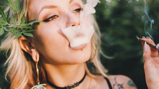 Is Cannabis Legislation Closer Than You Think?