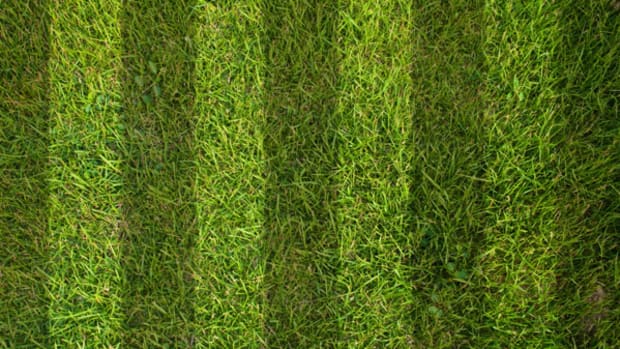 LeBron James to Play for the Miami Heat