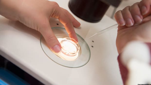 Celldex Therapeutics (CLDX) Stock Gaining on Q4 Results