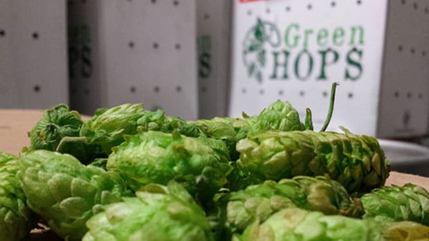 What 'Wet Hop' Beers Are and Why You Should Try Them Right Now