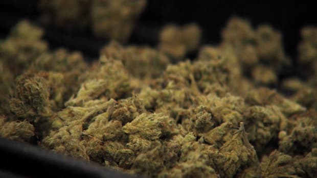 The Garden State Goes Green With Medicinal Marijuana