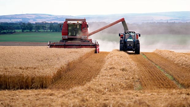Biofuels Will Not Solve 2014 Grain Glut