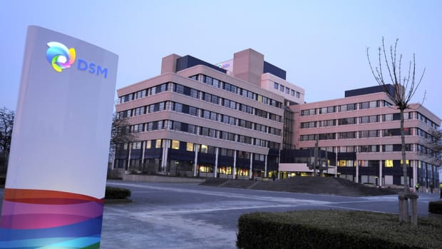 Royal DSM CEO: Healthy Eating Trend Will Overcome Currency Setback