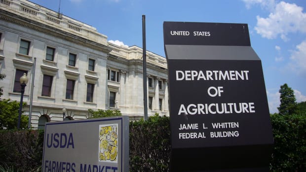 USDA Approves GMO Potato that Provides Potential Health Benefits
