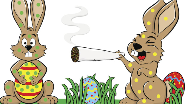 From Stoned Bunnies to Cannabis-Based Pet Care: What's the Effect of Pot on Animals?