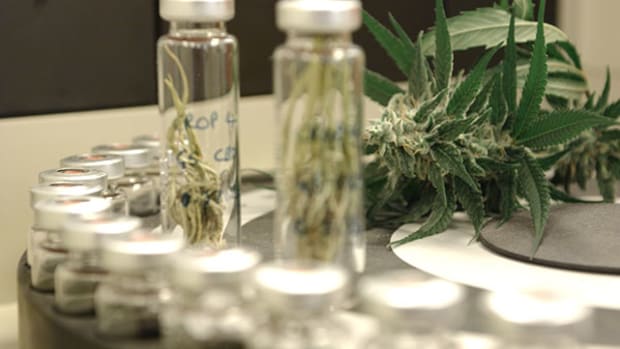 GW Pharma (GWPH) Stock Spiked on Promising Cannabis-Derived Drug, Jim Cramer's Take