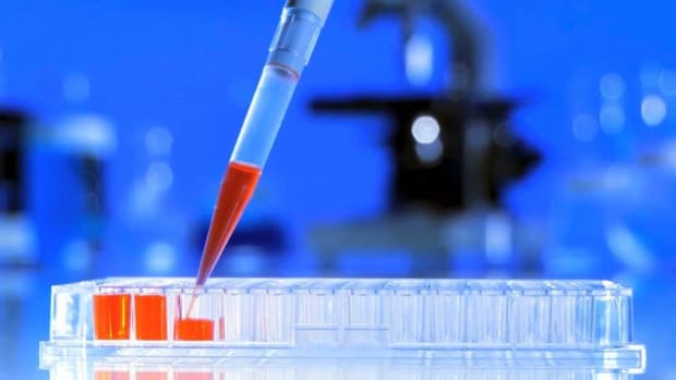 Biotech Selloff Does Not Dim Immunotherapy Advances Says Cellectis CEO