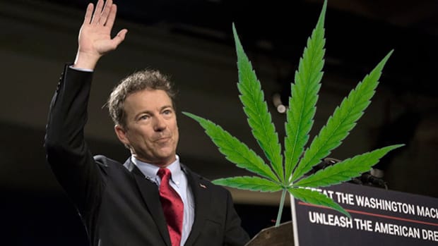 3 Pot Stocks to Buy If Rand Paul Becomes President