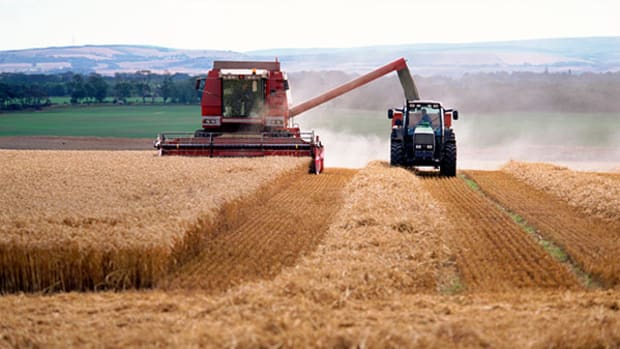 Watch Grain Markets and Monsanto for Price Gains From Ukraine Crisis