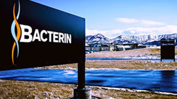 4 Health Care Stocks Under $10 to Watch: ImmunoGen, Bacterin and More