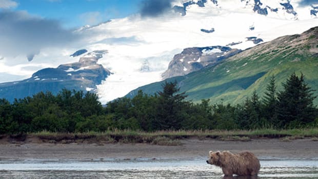 The Top 10 Things I (Re)Learned From the October Rally