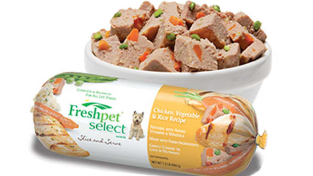 Premium Pet Food Is a Fast-Growing Market