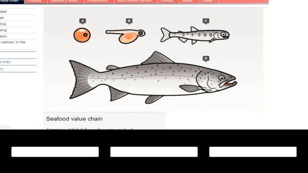 Load Up on Lloyds, Marine Harvest