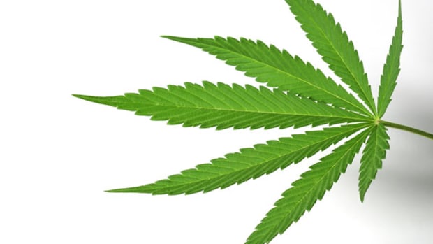 Beware of Getting High on Marijuana Stocks