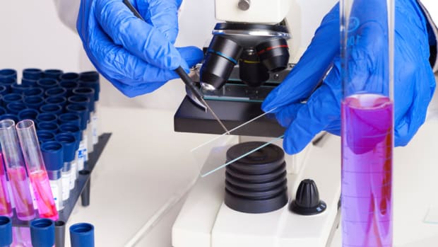 Stem Cell Stocks Seek Comeback