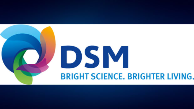 Royal DSM: EU Slow, EM Growing