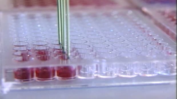 The Next Big Thing In Biotech: Decision Week