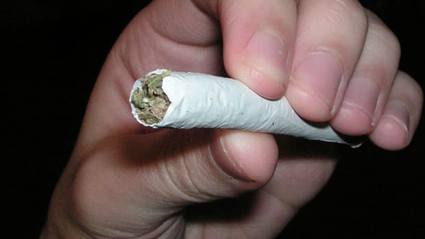 Pot States Growing Like Weeds