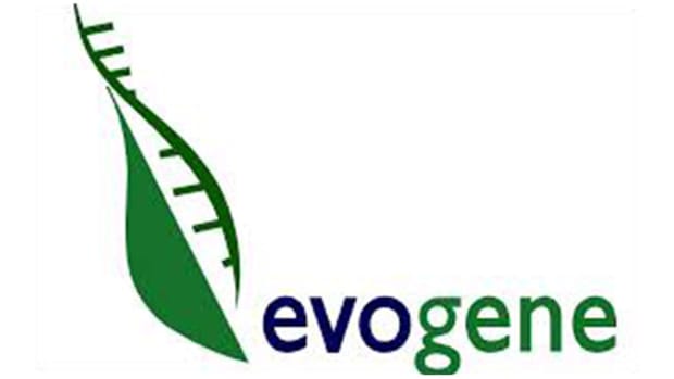 Evogene IPO Sprouts Higher