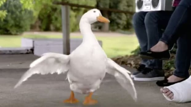 March Into Merck, Aflac and Nordstrom Shares