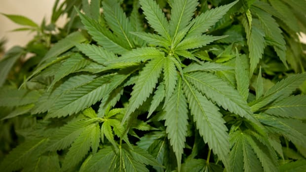 [video] Quick Take: Guidelines Give Green Light to Banks Dealing With Pot Companies