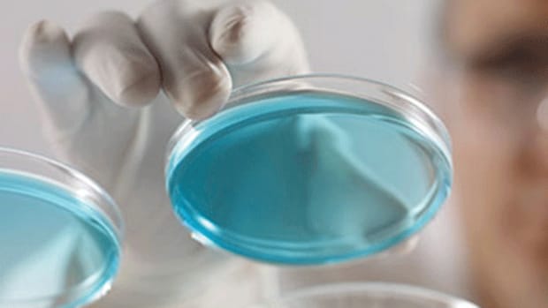 Sarepta Leads Biotech Movers on Voucher Deal News