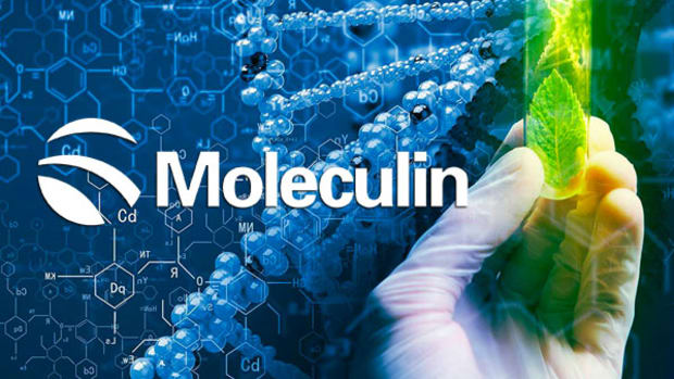 Moleculin Biotech gets good verbal Ok from FDA which should cut time to Phase 1/2 trial down
