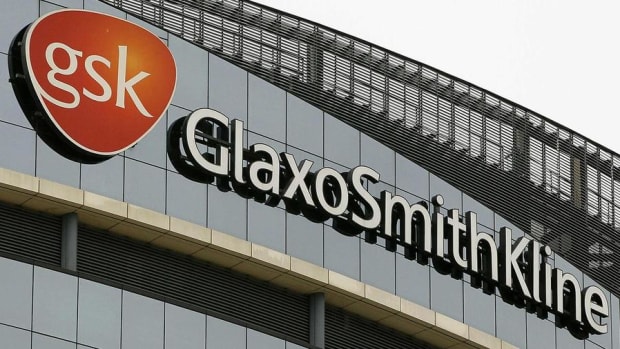 Glaxo, IP and PetMed Poised to Go Higher