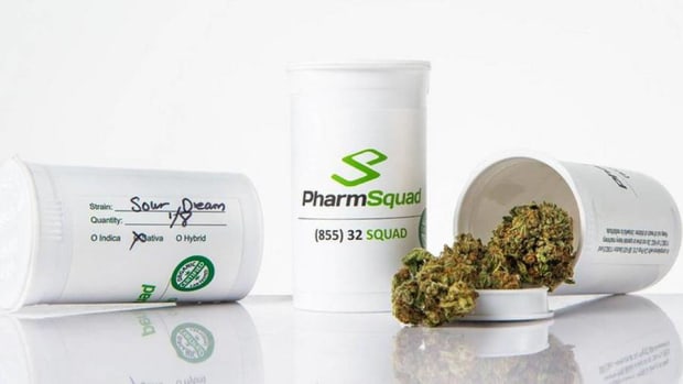 Marijuana Boom Only in ‘Second Inning’ Says Kush CEO