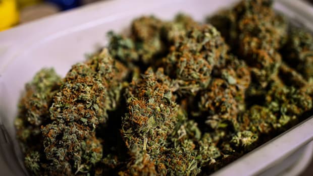 Pot Companies Among Biotechnology Stocks to Watch in 2015