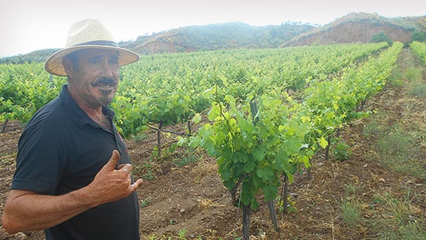 Enjoy Great Wine in the Mountains Outside Granada