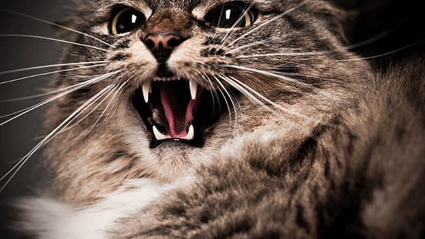 You Should Probably Be Prepared for the Stock Market to Tank In June