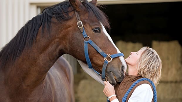 Jaguar Animal Health Stock Skyrocketing on Napo Pharma Merger