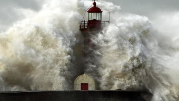 Palo Alto Networks Stock Will Explode 20% Higher Because of a Looming Wave, Citi Thinks