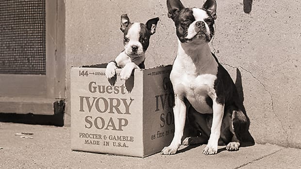 This Chart Shows Procter & Gamble's Stock Is a Buy on the New Nelson Peltz Attack