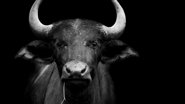 Traders Just Want to Sell, Sell, Sell: Market Recon