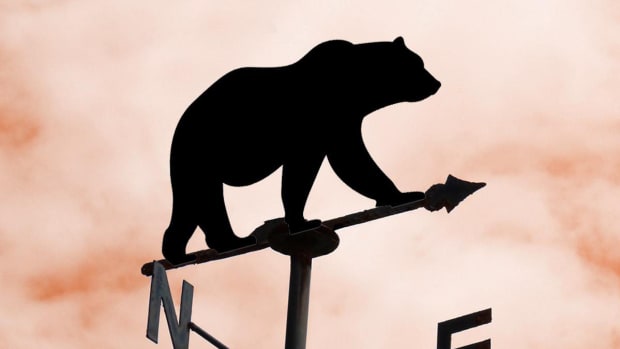 Weather Vane Bear Market Economy