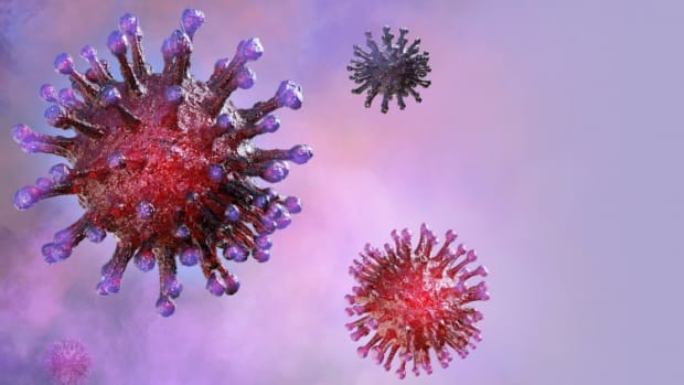 Coronavirus: Constantly Surprising Virus Found To Be Heat Tolerant, Self-healing And Very Resilient In Lab Tests