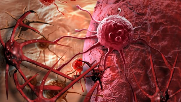 Chinese Cancer Drugs Developer InnoCare Raises US$289 Million After Hong Kong IPO Is Nearly 300 Times Oversubscribed