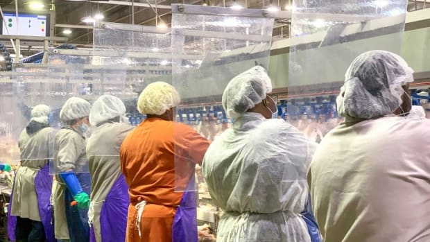 Coronavirus: China Suspends Poultry Imports From Tyson Foods Plant After Workers Test Positive