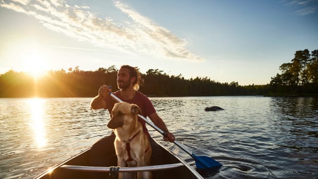 paddle canoe dog sh