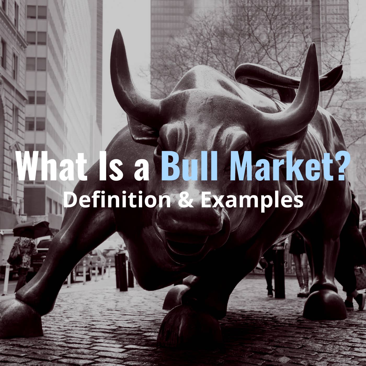 Bull Market
