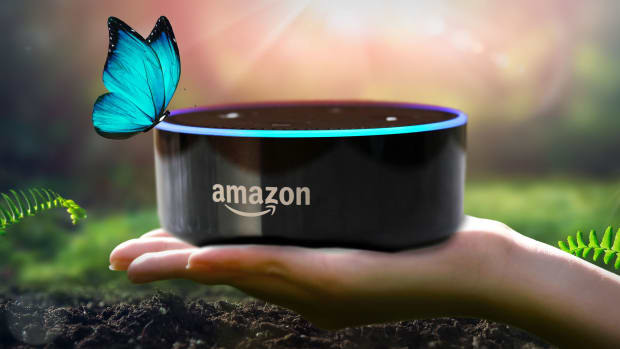 Amazon Alexa Earth Day Lead JS